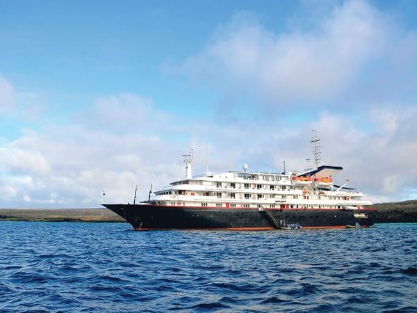 Silver Galapagos