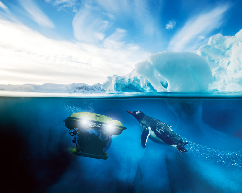 Penguins Antarctica